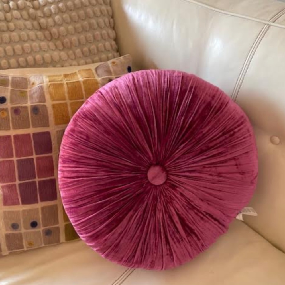 Anthropologie Velvet Throw Pillow